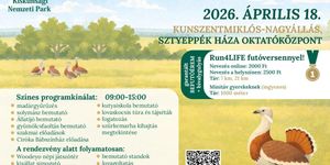 Túzokünnep  2026 Bösztörpuszta-Nagyállás - Túzokdürgés megfigyelés a Kiskunsági Nemzeti Parkban