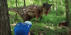 Dinó Park Pécsen a festői Malomvölgyben, egy szuper program az egész családnak játékokkal kicsiknek és nagyoknak!