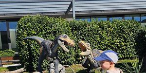 KÖKI  Bevásárlóközpont programok 2026 Budapest - Események, rendezvények