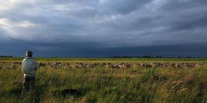 Tápió-Hajta Vidéke Tájvédelmi Körzet