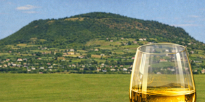 Bortúra Somló 2026. Programok, események, rendezvények