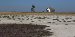 Magyar Nemzeti Parkok Hete 2026 Körös-Maros Nemzeti Park