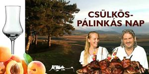 Csülkös - Pálinkás Nap 2025 Boldogkőváralja 