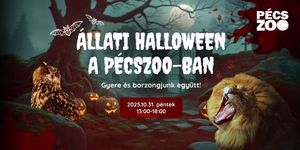 Pécsi állatkert Halloween 2025