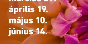 Kiskertpiac Budapest 2026 - Növény és természetes dizájn piac