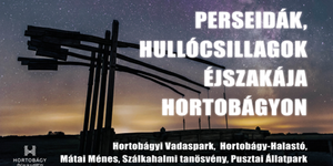 Hullócsillagok Éjszakája 2025 Hortobágy