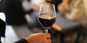 Borkóstoló Hajós 2026