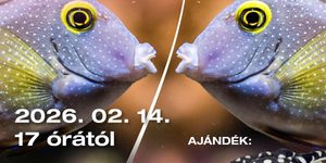 Valentin-nap Tropicarium Budapest 2026