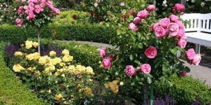 Erdőkertesi Kertészeti Fesztivál 2026 Erdőkertes