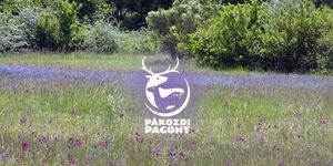 Vadaspark Gyereknap 2026 Pákozd. Velencei-tavi Gyermeknapi Ramazuri a Pákozdi Pagonyban