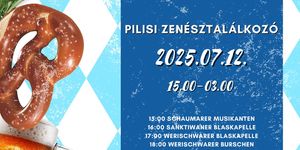 Zenésztalálkozó Pilisvörösvár 2025. Hallo! Werischwar