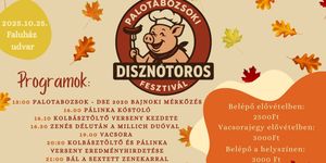Disznótoros Fesztivál 2025 Palotabozsok