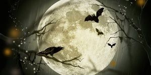 A fotó illusztráció. Forrás:Pixabay.com