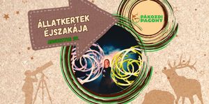 Állatkertek éjszakája a Pákozdi Pagony Arborétum és Vadasparkban 2025