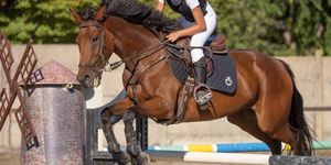 Kiskunhalasi Lovaspark programok 2026