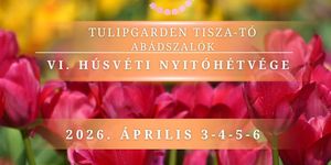 Tulipánszüret Tisza-tó 2026 Abádszalók