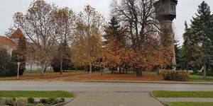 Bábolnai programok 2025. Események, rendezvények, fesztiválok