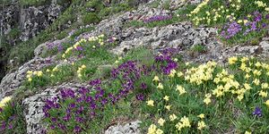 Sziklagyep látogató ösvény séta Füzéren, tekintse meg Magyarország egyik természeti csodáját a Várhegyen