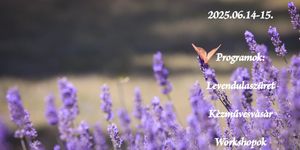 Levendula Piknik Szatymaz 2025