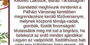 Pálháza Városnap 2025