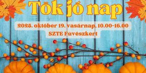 Tök Jó Nap Szeged 2025. A Füvészkertben főszerepben az ősz népszerű finomságai, a tökfélék