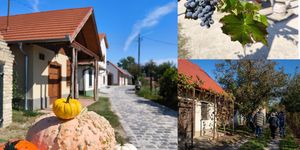 Tök jó program 2025 Monor. Barangolások a Monori Pincefalu nyitott pincéiben