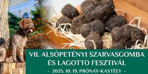 Szarvasgomba Fesztivál Alsópetény 2025. Szarvasgomba és Lagotto Fesztivál