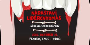 Halloween Sándorfalva 2025. Nádasfalvi Lidércnyomás