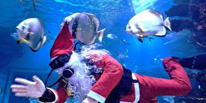 Mikulás Tropicarium 2025. Búvármikulás Budapesten a Camponában