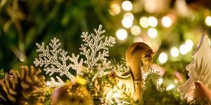 Advent Kecskemét  2025. Téli Csodaország és  Kecskeméti Advent