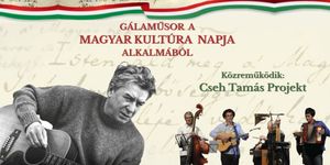 Magyar Kultúra Napja Vác 2026