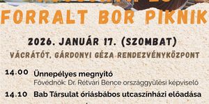 Forralt bor és kocsonya piknik 2026 Vácrátót 