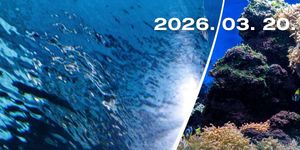 Víz világnapja Tropicarium 2026 - Ismeretterjesztő élményprogramok Budapesten