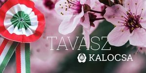 2026. március 15. Kalocsa - Megemlékezés és ünnepi programok