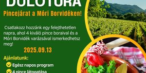 Dűlőtúra Mór 2025. Pincejárat a Móri Borvidéken!