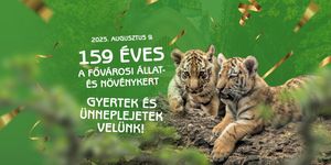 Állatkerti Fesztivál  Budapest 2025. Az állatkert 159. születésnapja