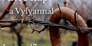 Vince-nap Kisharsány 2026. Vince-nap a Vylyan Teraszon