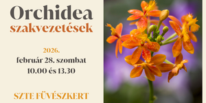 Tematikus szakvezetések Szegeden az orchidea gyűjteményben, várjuk a Füvészkertben