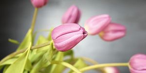 A kép illusztráció. Kép forrása: Pixabay.com