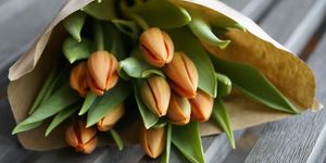 A kép illusztráció. Kép forrása: Pixabay.com