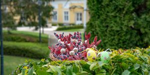 Húsvéti program Alsópetény 2026 - Kézműves és termelői vásár 