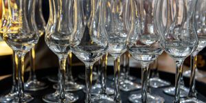 Pálinka Ünnep Velence 2026. Országos Pálinka- és Törkölypálinka Verseny