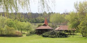 Madarak és Fák Napja Pákozd 2026