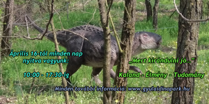 Dinó Park Gyulán, egy szuper program az egész családnak játékokkal kicsiknek és nagyoknak!