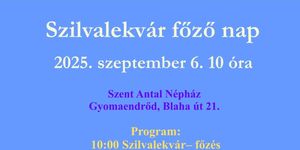 Szilvalekvárfőző nap 2025 Gyomaendrőd