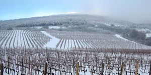 A fotó illusztráció. Forrás: Pixabay.com