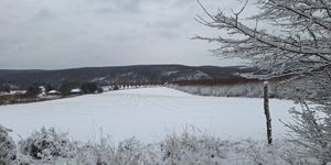 Bakonyi Télűző 2026 Németbánya - Bakonyjákó