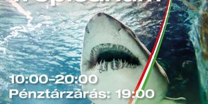 2026. március 15. Budapest Tropicarium - Családi program a cápás állatkertben