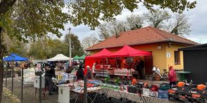 Monorierdő Piac 2026