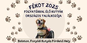Fogyatékkal Élő Kutyák Országos Találkozója 2025 Fonyód